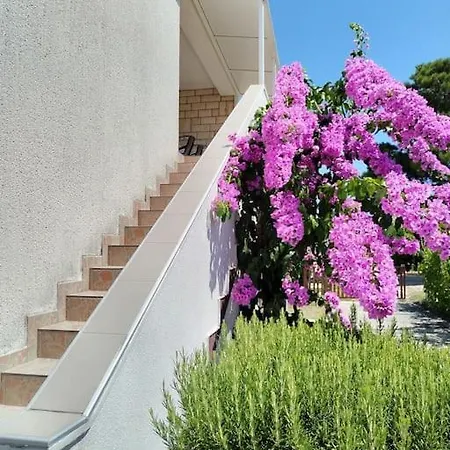 Apartament Stephan In Sabunike